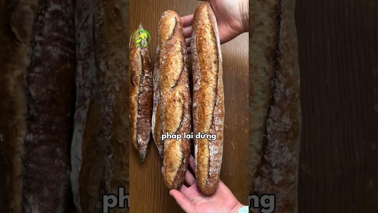 Nem Ngon